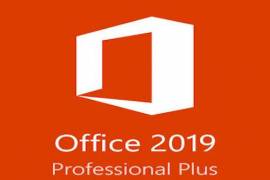 Microsoft Office 2019 Professional Plus 1 PC