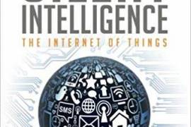 The Silent Intelligence: The Internet of Things